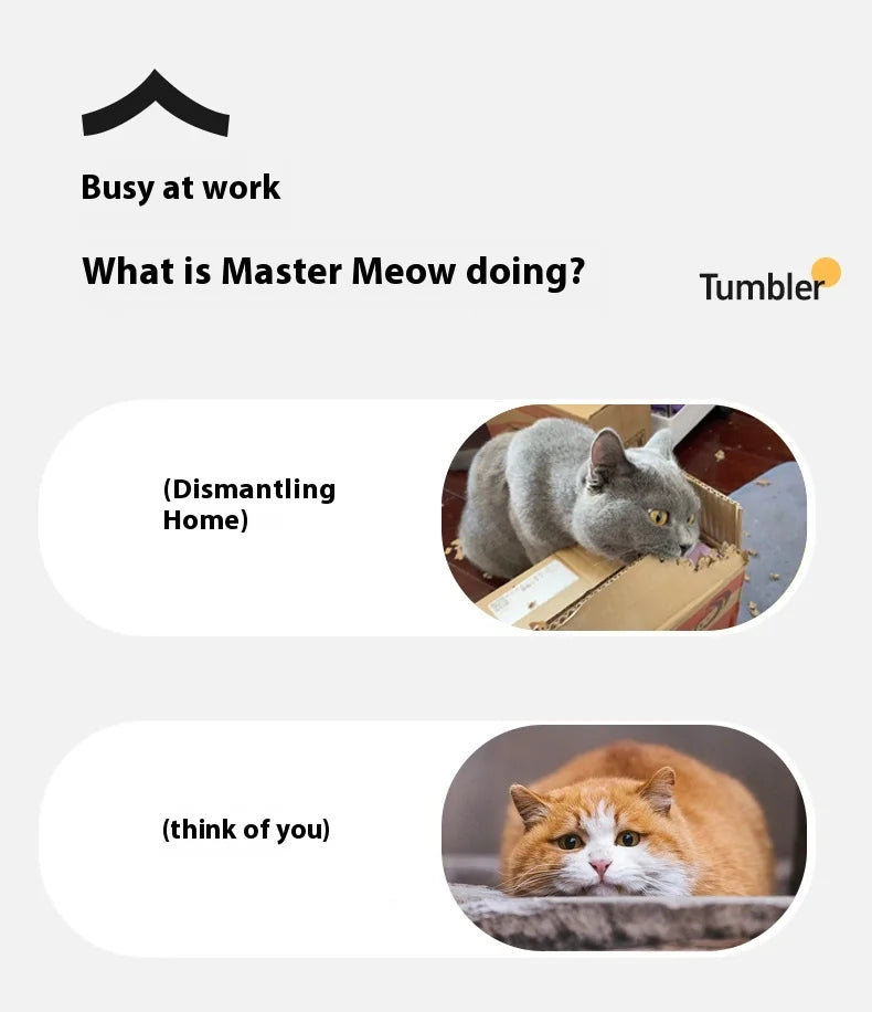 🐱 Bola Interativa Elétrica para Gatos – Inteligente, Recarregável e Super Divertida