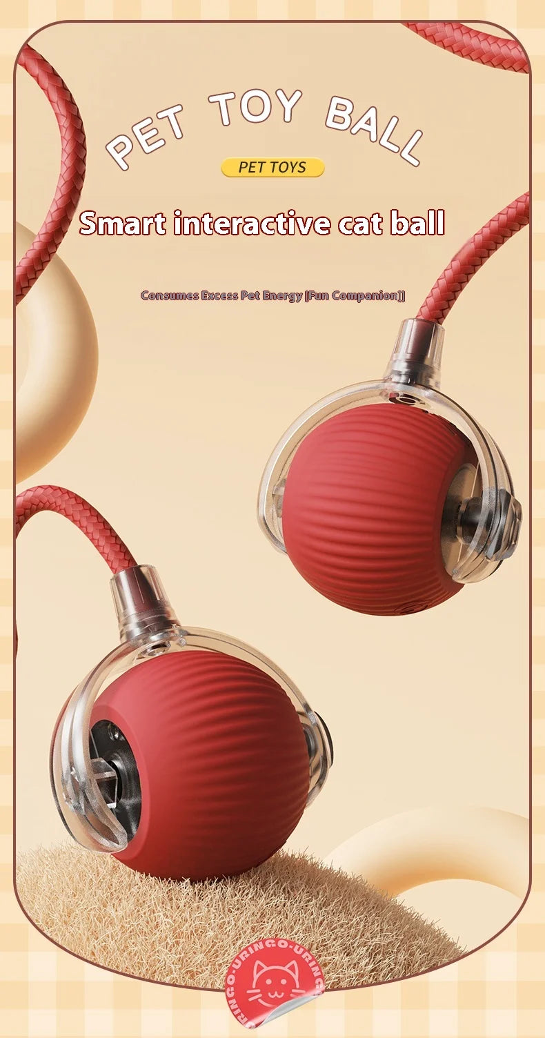 🐱 Bola Interativa Elétrica para Gatos – Inteligente, Recarregável e Super Divertida